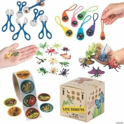 Top 10 😀 Backyard Adventure Kit for 12 ⌛