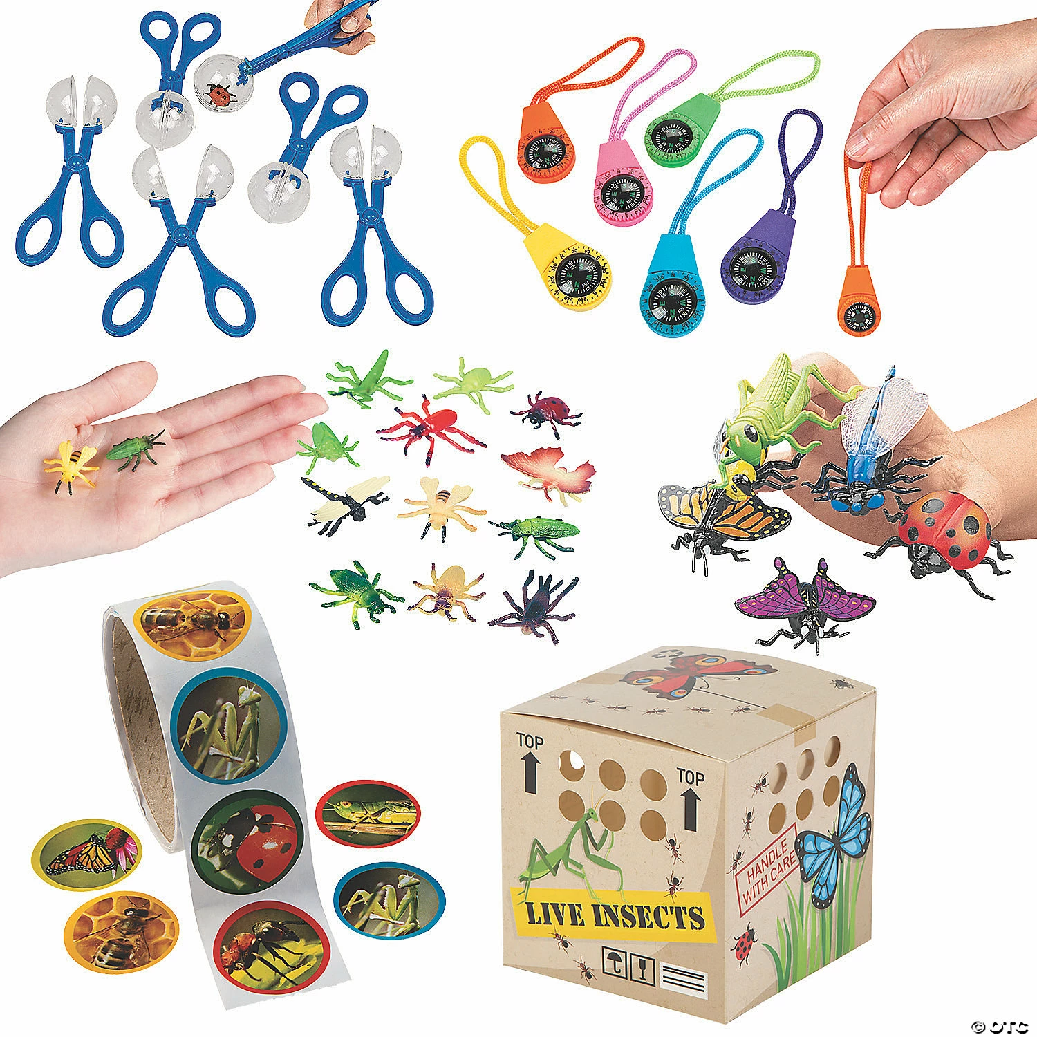 Top 10 π Backyard Adventure Kit for 12 β