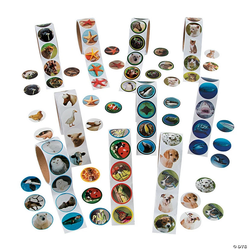 Hot Sale βοΈ Live Photography Sticker Assortment - 1000 Pc. π
